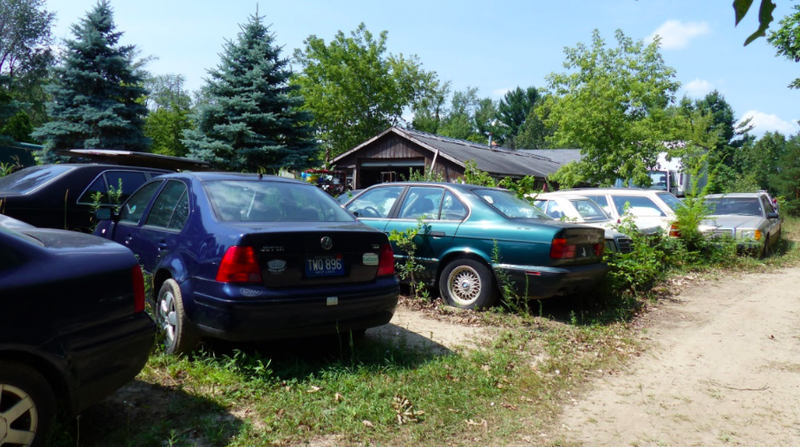 Illustration for article titled One Year Later, Michigan Man Ordered to Sell 20 Cars a Month Is Out 160 Cars but Remains Upbeat